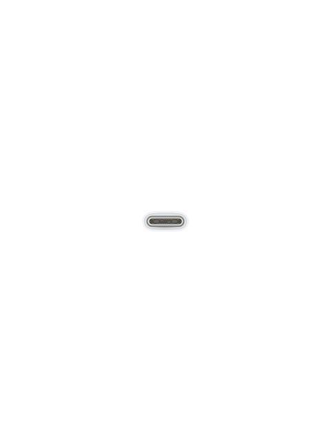 APPLE CABLE USB-C MACHO - USB-C MACHO 1 METRO BLANCO