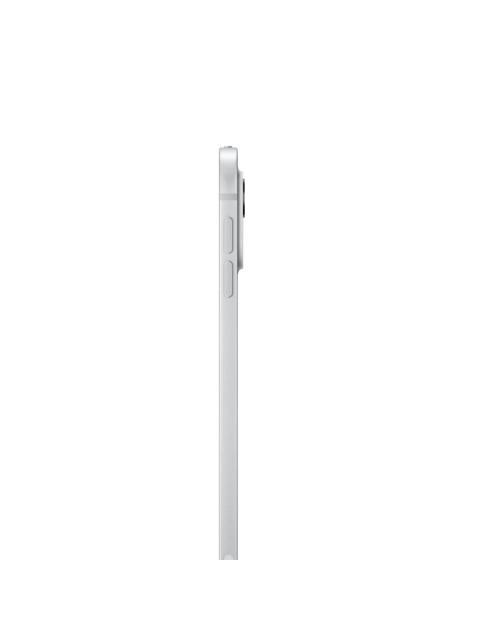 APPLE IPAD PRO RETINA XDR 11 APPLE M4 1TB WIFI PLATA