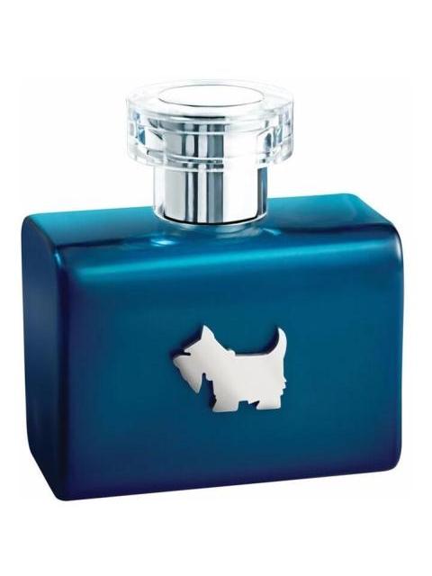 FERRIONI BLUE TERRIER 100 ML DE FERRIONI