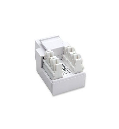 INTELLINET 210843 JACK PARA TELEFONIA DE IMPACTO RJ11-12 BLANCO