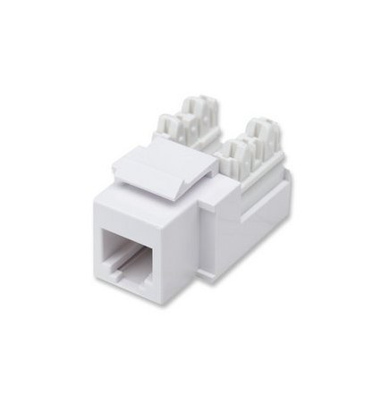 INTELLINET 210843 JACK PARA TELEFONIA DE IMPACTO RJ11-12 BLANCO